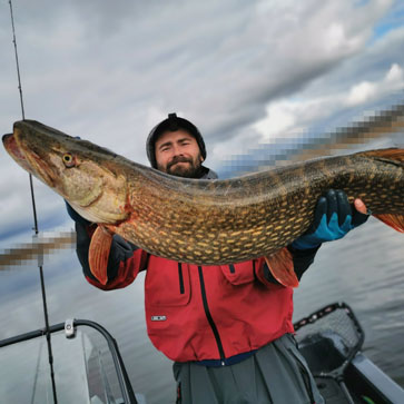 Трофейная щука